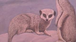 Video 6 finish painting group image (Meerkats)