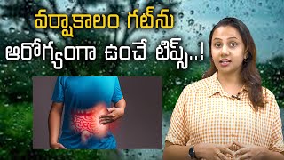 Tips To Improve Gut Health During Monsoon/ వర్షాకాలం గట్‌ను ఆరోగ్యంగా ఉంచే టిప్స్‌!||Samayam Telugu