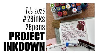 Only ONE FOUNTAIN PEN INKED. For now! Introducing my February 2025 Project. #28inks28pens