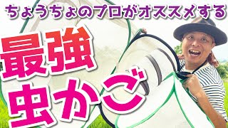 昆虫採集、飼育にも最適な虫かご！ちょうちょにチョウ優しい4種類をご紹介！