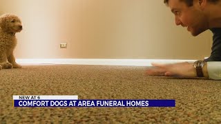 Comfort dogs at funeral homes