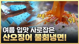 [황금나침반] 여름철 최고의 별미 새콤달콤 산오징어 물회냉면 맛집 / YTN 사이언스