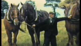 Working the Land: Farm Life in East Anglia Farmworker Interviews  DVD clip