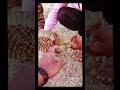 teetar ki awaz how to catch partridge bird how to trap teetar how to catch grey francolin