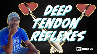 NPTE Video Question Sample #1 - Deep Tendon Reflexes