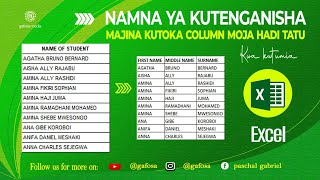 NAMNA YA KUTENGANISHA MAJINA KUTOKA KWENYE COLUMN MOJA HADI TATU KWA KUTUMIA EXCEL