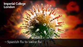 Spanish Flu to Swine Flu