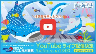 第２回『#おうちで水族館』いおワールド かごしま水族館ライブ配信！