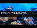 【スカッとする話】新築へ引っ越し荷解きをしてると同居していた夫の連れ子「私は12畳の広い部屋！」夫「逆らったら離婚だぞw」私「え？私は独身だけど？」連れ子と夫「は？」実はw