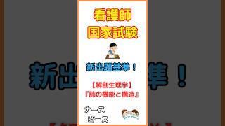 【1分で学べる】看護師国家試験対策！解剖生理学【肺の機能と構造】