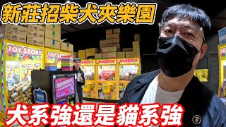 [菜雞探店Ep67]新莊招柴犬夾樂園《本片抽獎》貓系親子樂園比較恐怖還是犬系呢【夾娃娃、娃娃機、零食場、UFO キャッチャー คลิปตุ๊กตา、claw machine】