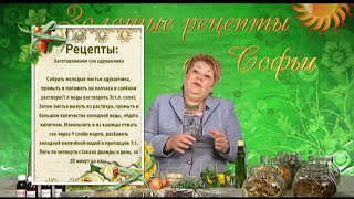 Цілитель Софія Нагорняк - Лікувальні властивості кульбаби