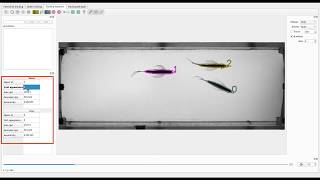 FastTrack tutorial #2: tracking review tool