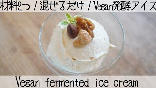 【完成まで5分】腸を痩せ菌でいっぱいにする濃厚ヴィーガンアイス✨Rich vegan ice cream