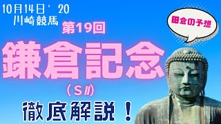 【田倉の予想】第19回 鎌倉記念（ＳII） 徹底解説！