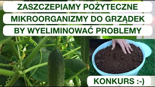 MIKROORGANIZMY ELIMINUJĄ PROBLEMY W UPRAWIE