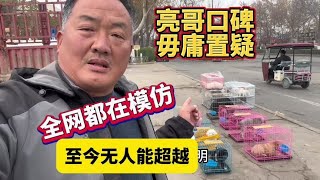 亮哥口碑毋庸置疑，宠物代购全网都在模仿，至今无人能超越#狗市