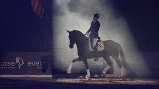 Will Rogers \u0026 Grandeur Total Trust Herning Horse Show 2017