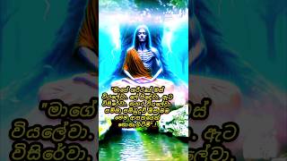 චතුරංග වීර්යයෙන් 🙏 වැඩසිටින බෝසතාණන් වහන්සේ.🙏