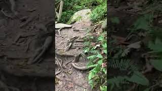 Natural Waterslide at Ohiopyle