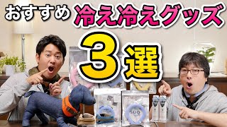 【７月のおすすめペットグッズ】暑さ対策グッズおすすめ3選！をペットショップ店員が解説します！