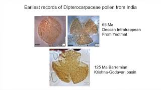 PALAEOBOTANY - Dr. Vandana Prasad