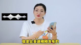 比亚迪方程豹来了，剑指长城坦克