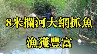 农村小伙撒网抓鱼，天气持续干旱河水归塘，阿琪用八米拦河大网抓鱼，收获还不错【农村阿琪】