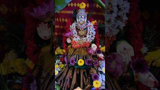 My Lakshmi Pooja decoration | ಸರ್ವರಿಗೂ ವರಮಹಾಲಕ್ಷ್ಮೀ ಹಬ್ಬದ ಹಾರ್ದಿಕ ಶುಭಾಶಯಗಳು