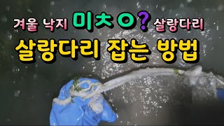 겨울 낙지의 활동 살랑다리 잡는법? 이렇게 잡아야 성공한다 !야간해루질