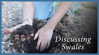 A Farm Walk: Discussing The System of Swales