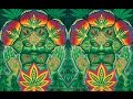 1200 Micrograms - Hashish [Visualization]