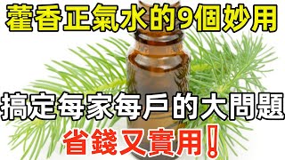 藿香正氣水你不知道的9個妙用！搞定每家每戶的大問題，省錢又實用。