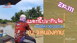 แข่งตกปลา ปลากินจัด EP.111