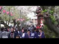 常滑祭・常滑地区祭礼2019 2mah06044奥条「常石車」常石神社ー桜吹雪