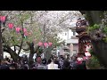 常滑祭・常滑地区祭礼2019 2mah06044奥条「常石車」常石神社ー桜吹雪