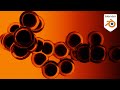 10 Minute Tutorial - Organic Cell Effect In Geometry Nodes (Blender Tutorial)