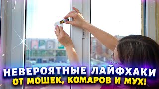 РАБОТАЕТ БЕЗОТКАЗНО! Комары и мухи забыли дорогу в мой дом. Хитрый трюк избавиться от них навсегда.