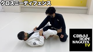 クロスニーディフェンス【柔術】【BJJ】