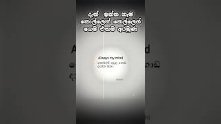 දැන් ඉන්න හැම කොල්ලෙක් කෙල්ලෙක් ගේම එකම අරමුන🥀 #viralshorts #trending #tiktok @MR--You--Tok