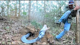 Aghast - A man almost lost his life when confronting a group of ferocious king cobras in the forest