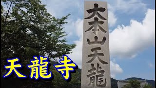 京都嵐山天龍寺庭園  2019 日本大阪京都夏天自由行 VLOG