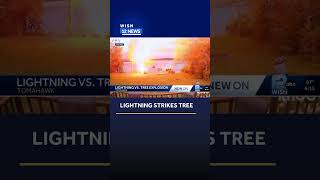 Lightning strikes tree in Tomahawk