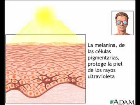 Efectos Del Sol En La Piel Mov - YouTube