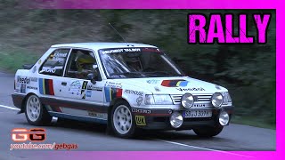 Peugeot 309 GTI 8V - Kalle GRUNDEL - RALLY - 2022 - Alsace Rallye Festival + Klaus HOPFE