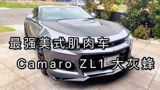 【乐活番外Vlog】科迈罗Camaro ZL1 土澳能买到的最强美式肌肉车｜超暴力的“大灰蜂”绝对点燃你的肾上腺素