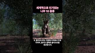 세계적으로 인기 있는 나무 10 종류