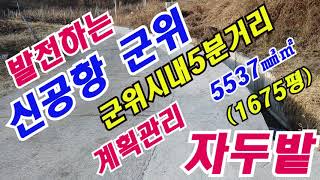 시퀀스 02군위시내5분거리자두밭 ( 군위읍  동네앞  산밑에  가격싼  멋진 자두밭  5537㎡  ( 1675 평  ) ㎡당116700원  계획관리지역 (평당 35 만원  )