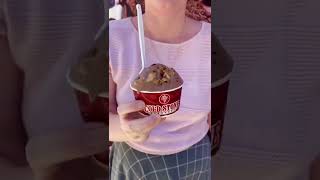 Vegan Ice Cream at Cold Stone Creamery