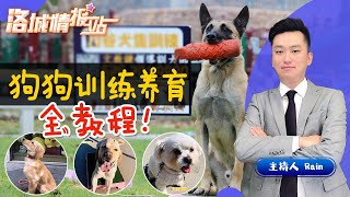 狗狗训练养育全教程 《洛城情报站》 第97期Mar 04, 2020